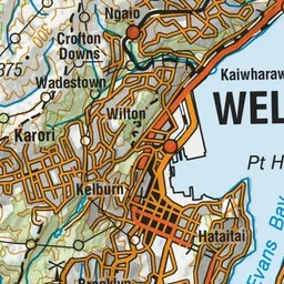 LINZ Topographic Raster preview
