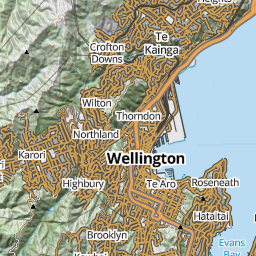 LINZ Topographic preview