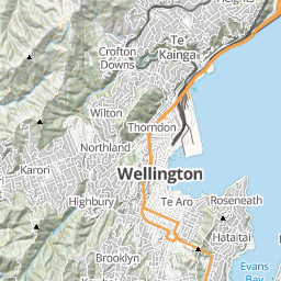 LINZ Topolite preview